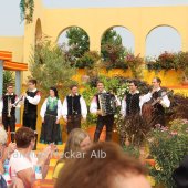 Immer wieder sonntags 09.08.2015